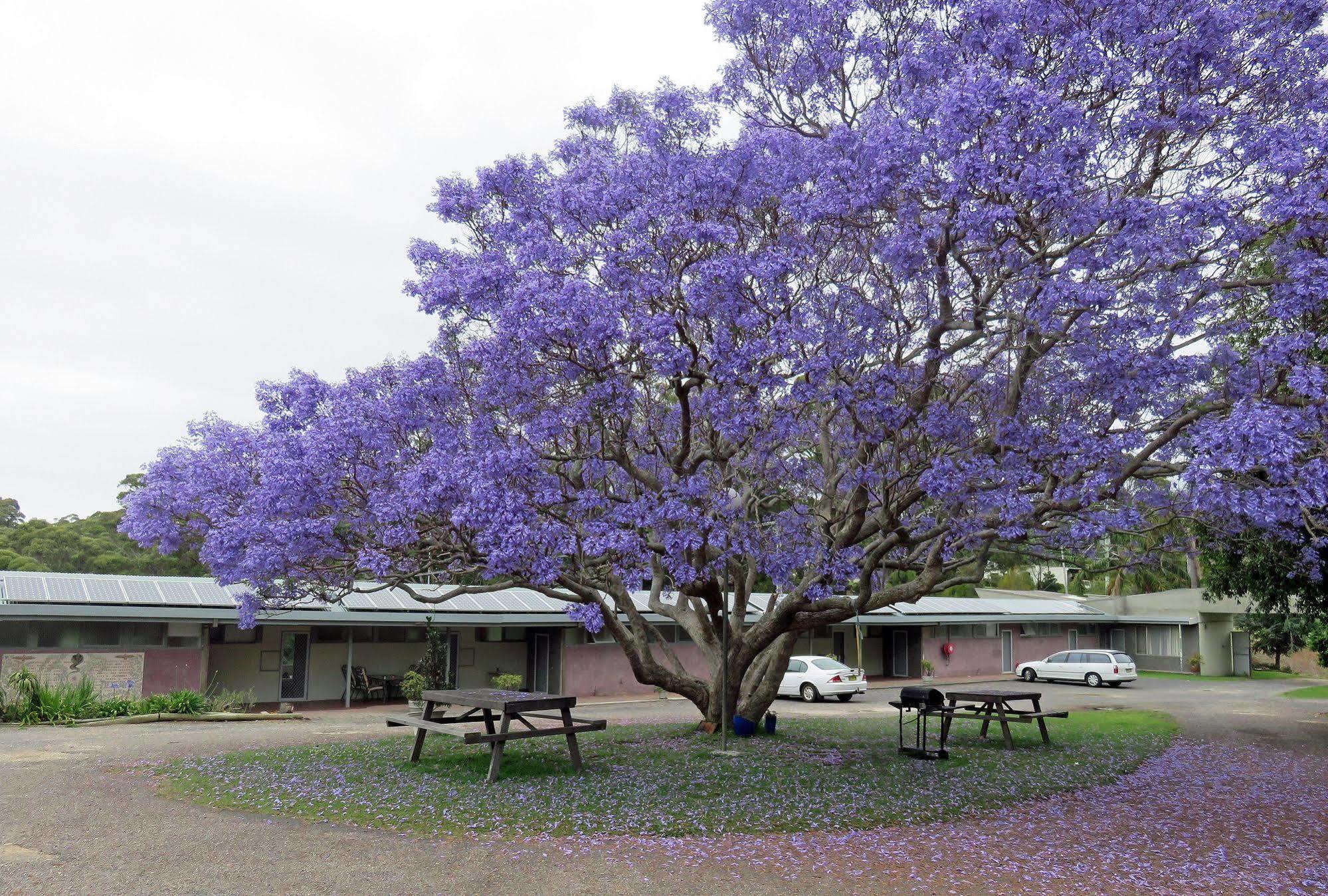 Ecotel Narooma North Narooma Exterior photo